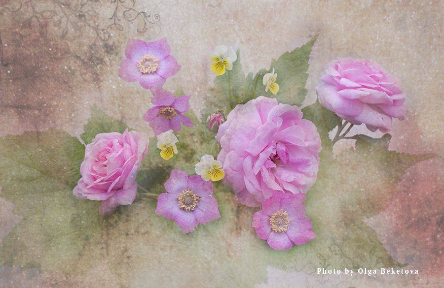 розы шиповник композиция натюрморт, Бекетова Ольга