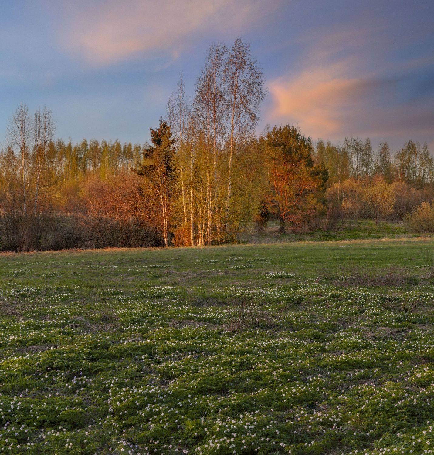 Фототуры с Владимиром Рябковым, #topnature #russpasibo #magic_shots #lovelyRussia #sunset_vision #exclusive_sky  #exclusive_shots #loves_russia2 #photoarena_nature #nature_sultans #nature_perfection #rsa_sky #rsa_sunset #photorussia #rsa_naturepics #sunse, Владимир Рябков