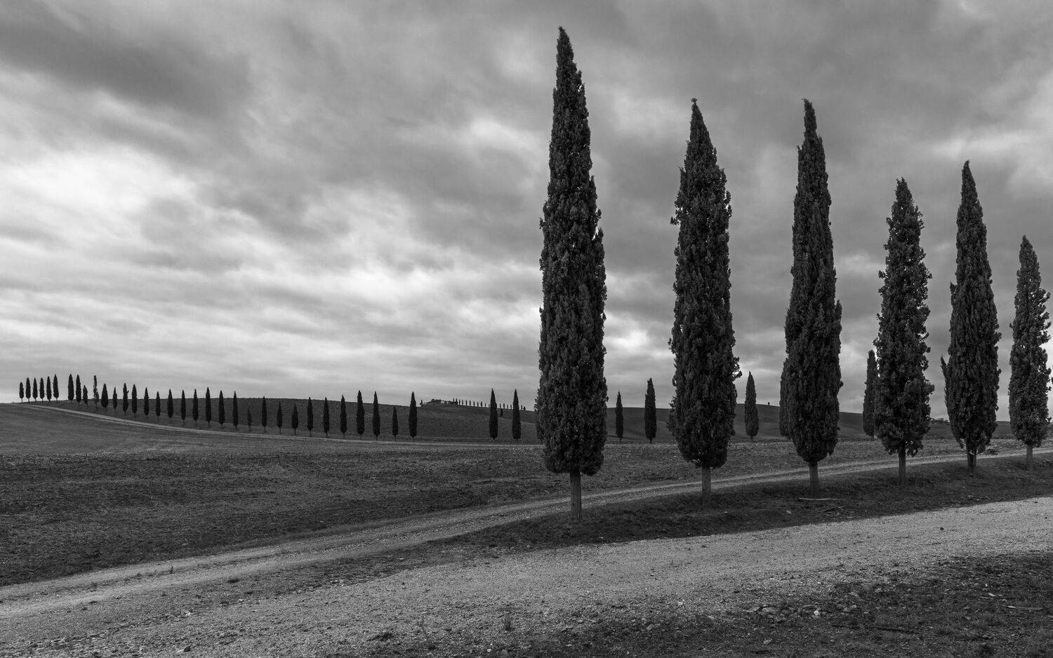 tuscany, italy, тоскана, Евгения Чех