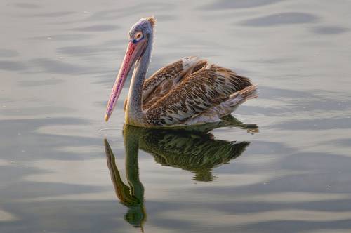 Backwaters
