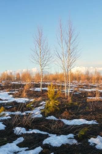 Пробуждение