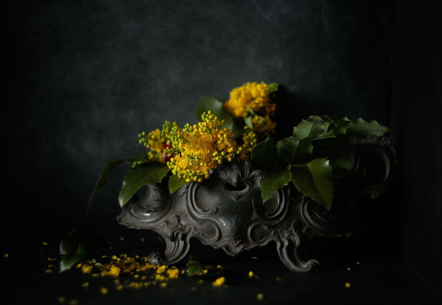 , Димитър Стоянов