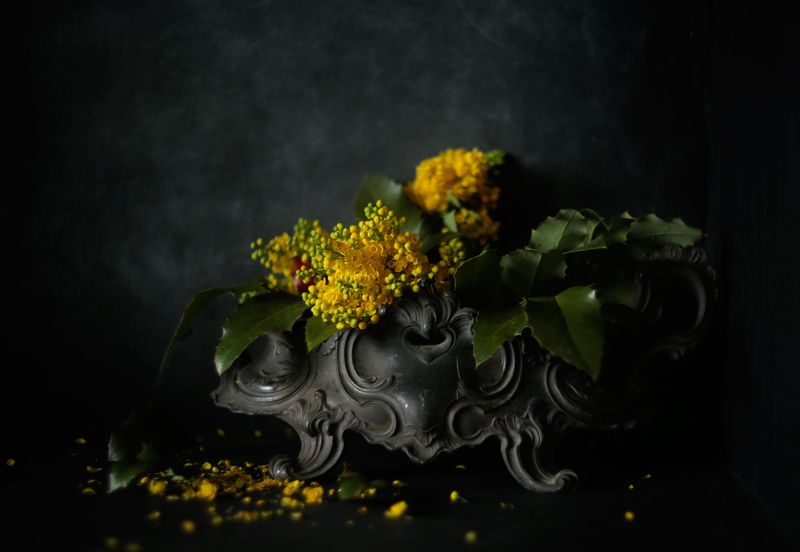 deep yellow фото превью