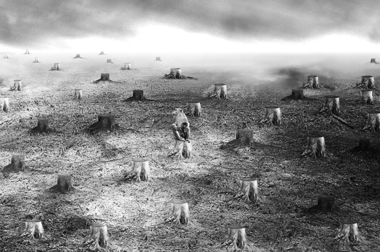 , Alex Yungan Harahap