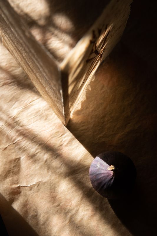 инжир, ягоды, натюрморт, солнце, закат, свет, преломление, бумага, предметка, постановка Инжир фото превью