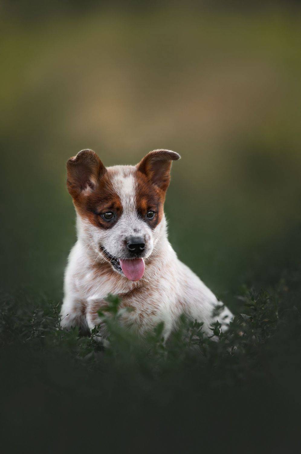 , Юлия Гончар