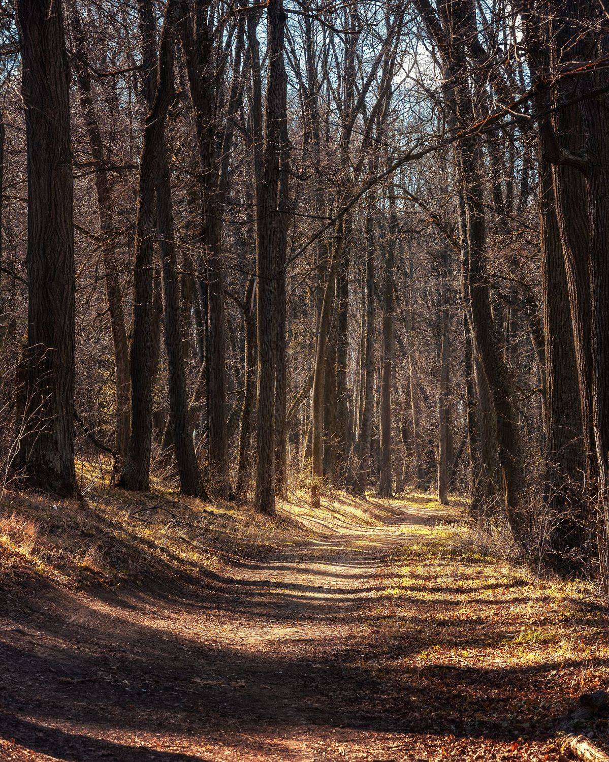 , Мозжухин Максим