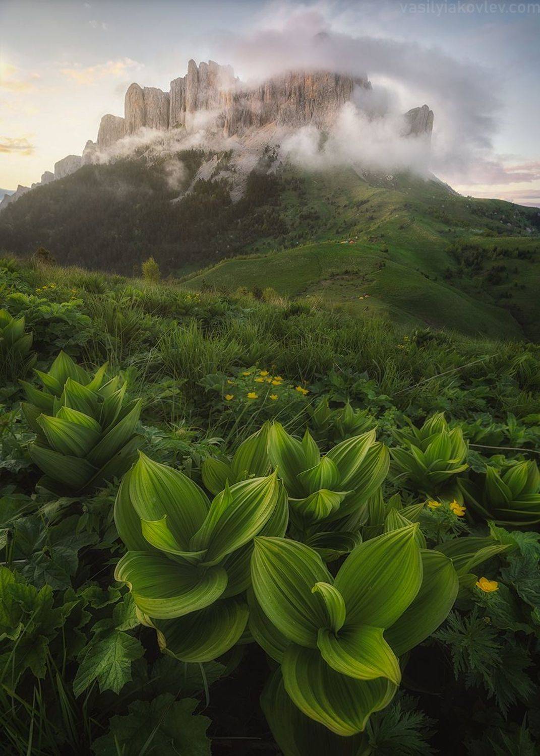 большойтхач, адыгея, фототур, яковлевфототур, Василий Яковлев