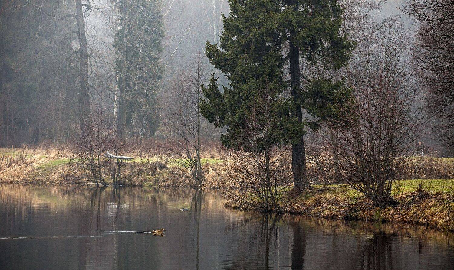 , александр