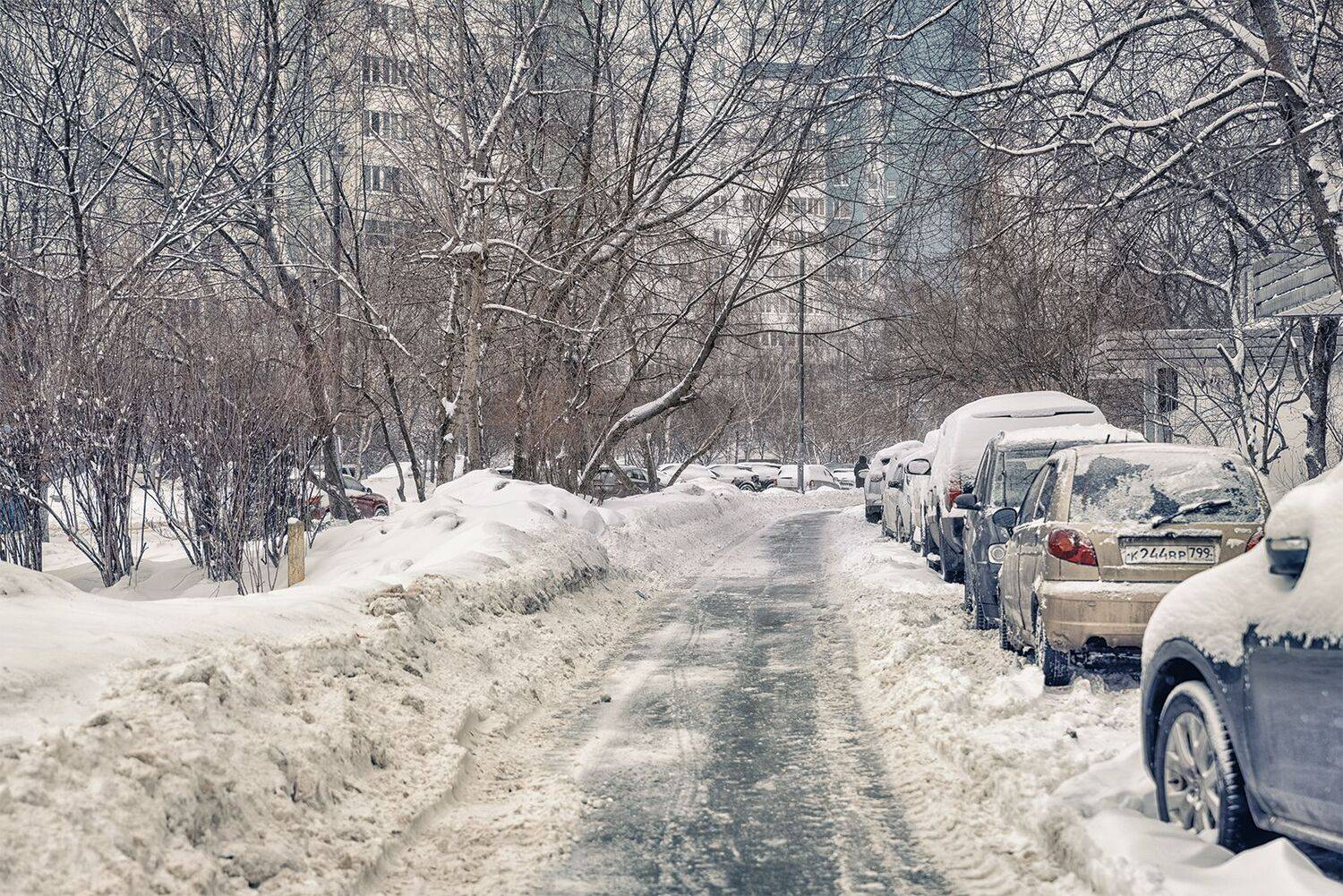 , Юрий Шурчков