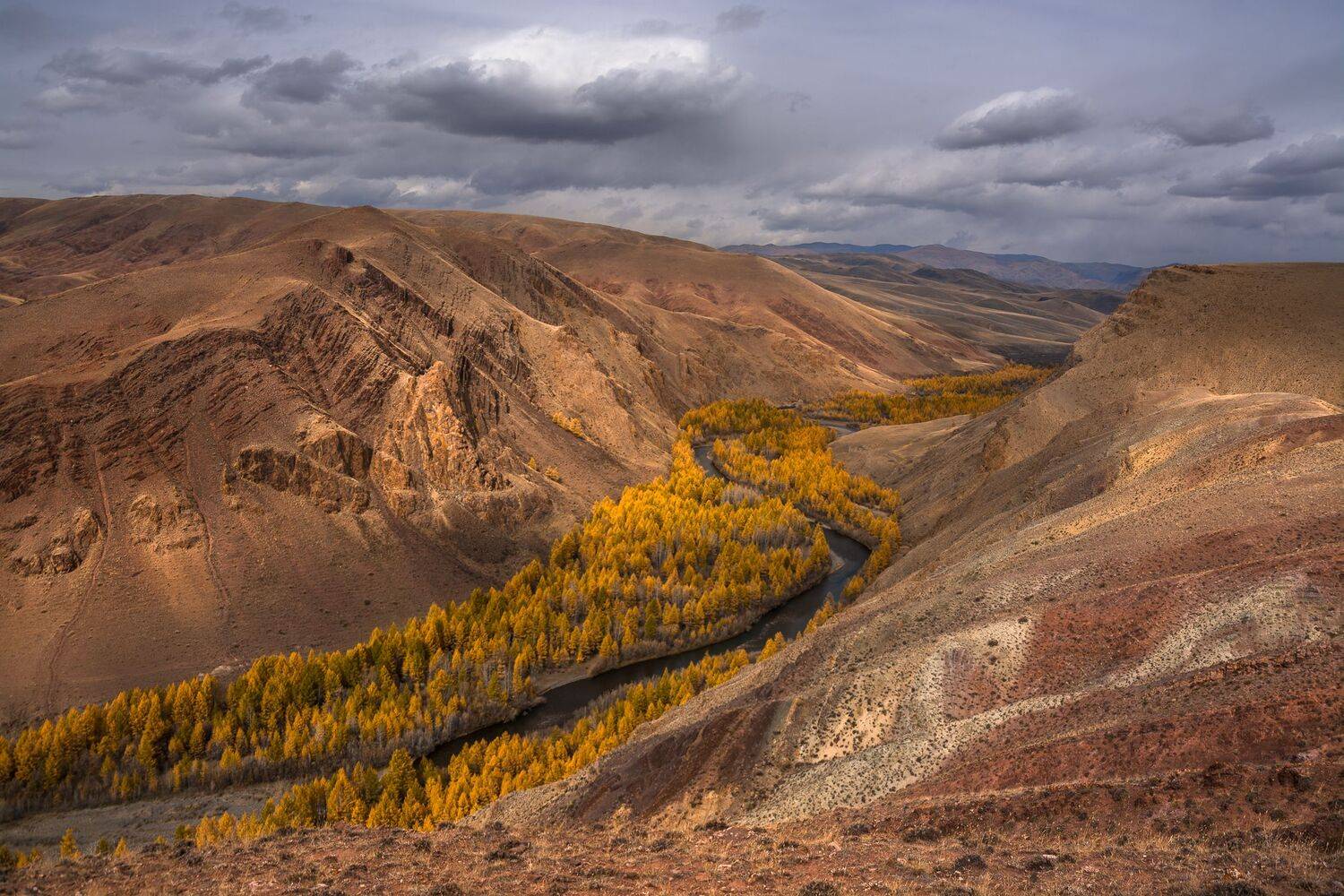 россия, горный алтай,осень, Андрей Поляков