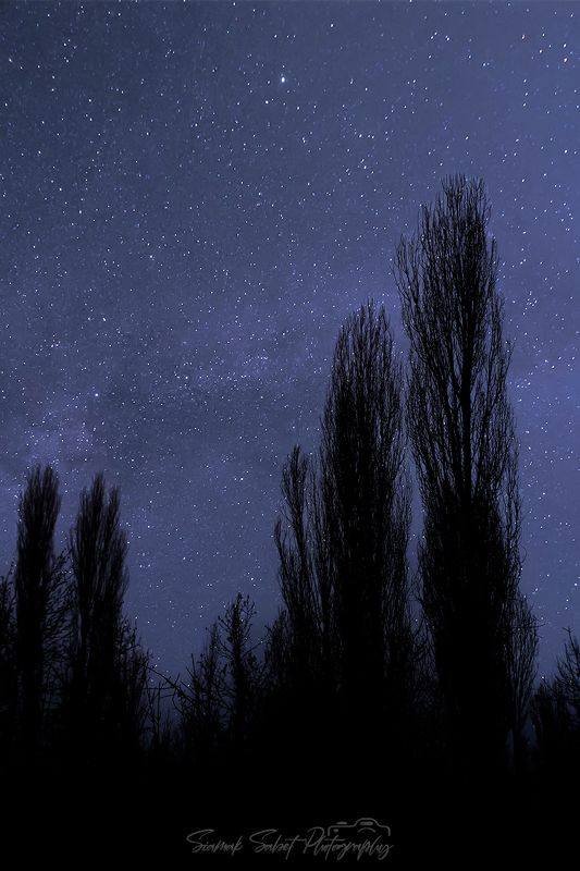 Dream Night фото превью