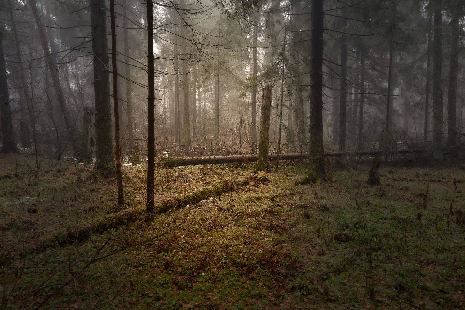 , Булатов Дмитрий