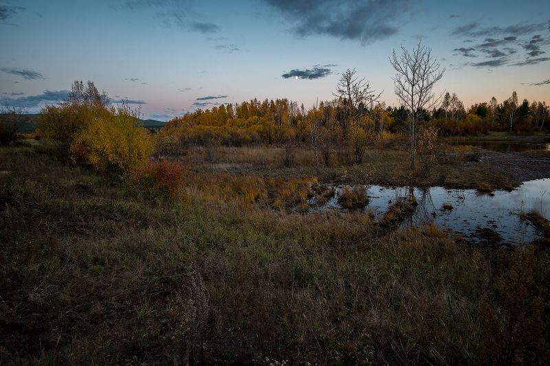 *** фото превью