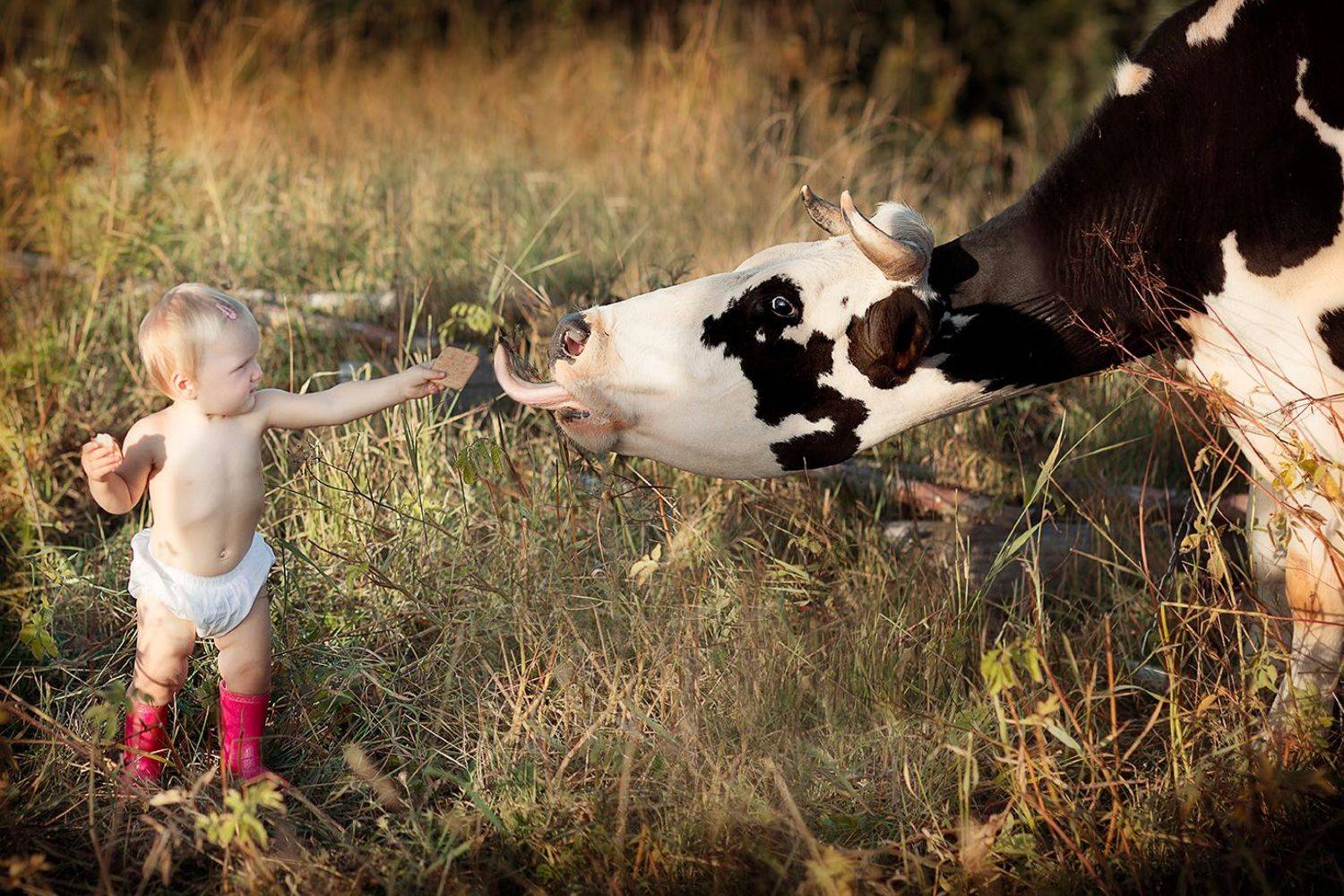 , Галина Арсёнова