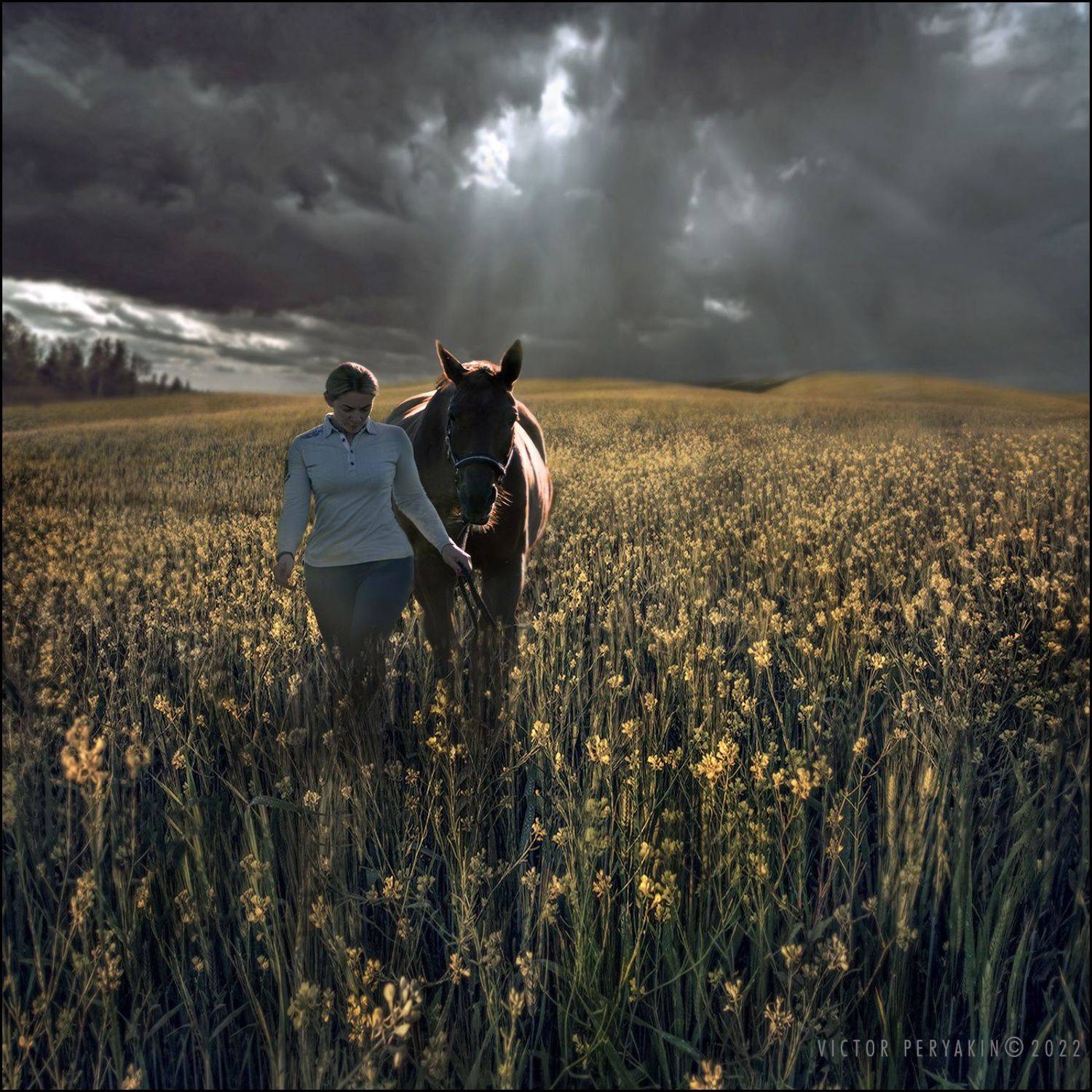 , Виктор Перякин