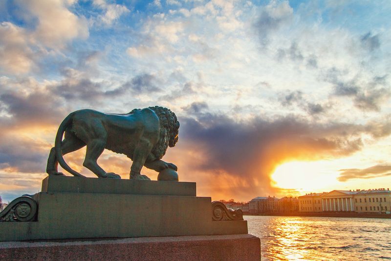 санкт-петербург, лев, закат, пейзаж, архитектура, город Закат фото превью