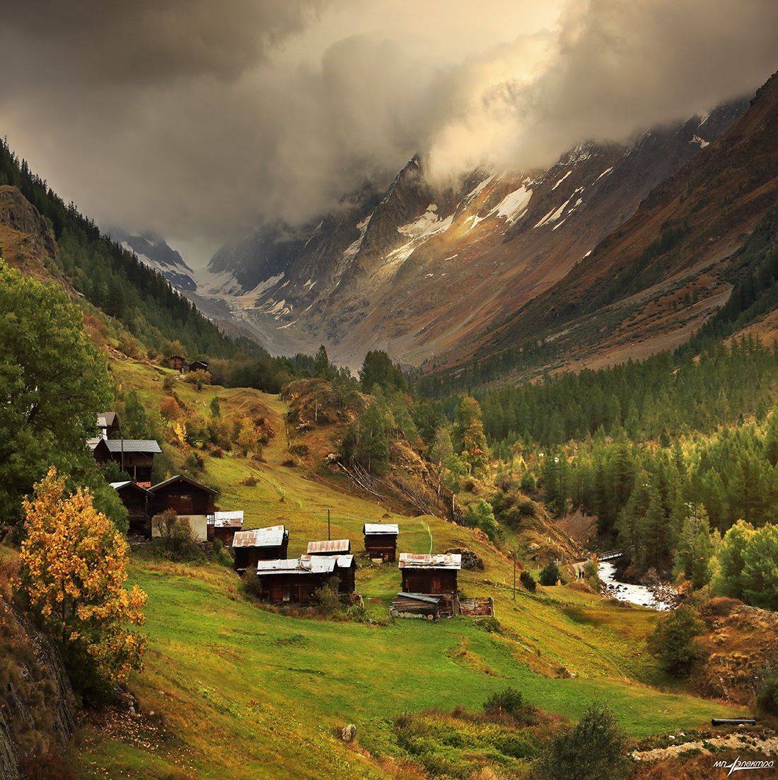 swiss, Матвеев Николай