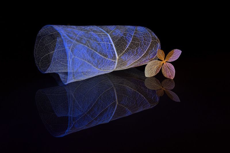 close-up, still life In peace and quiet фото превью