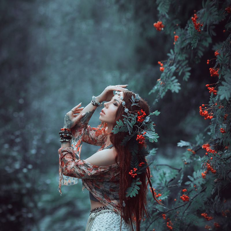 Рябина фото превью