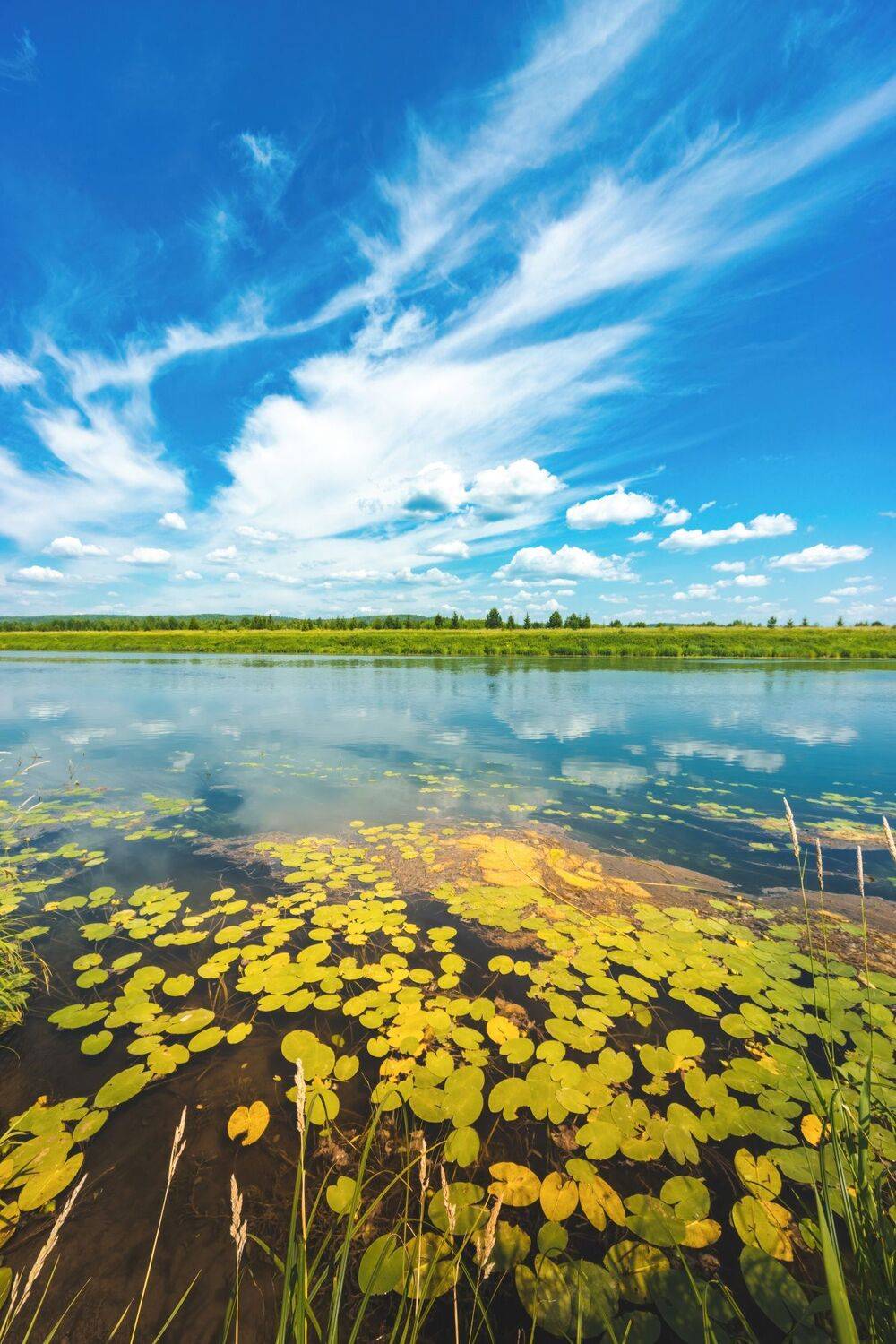 , Котов Андрей