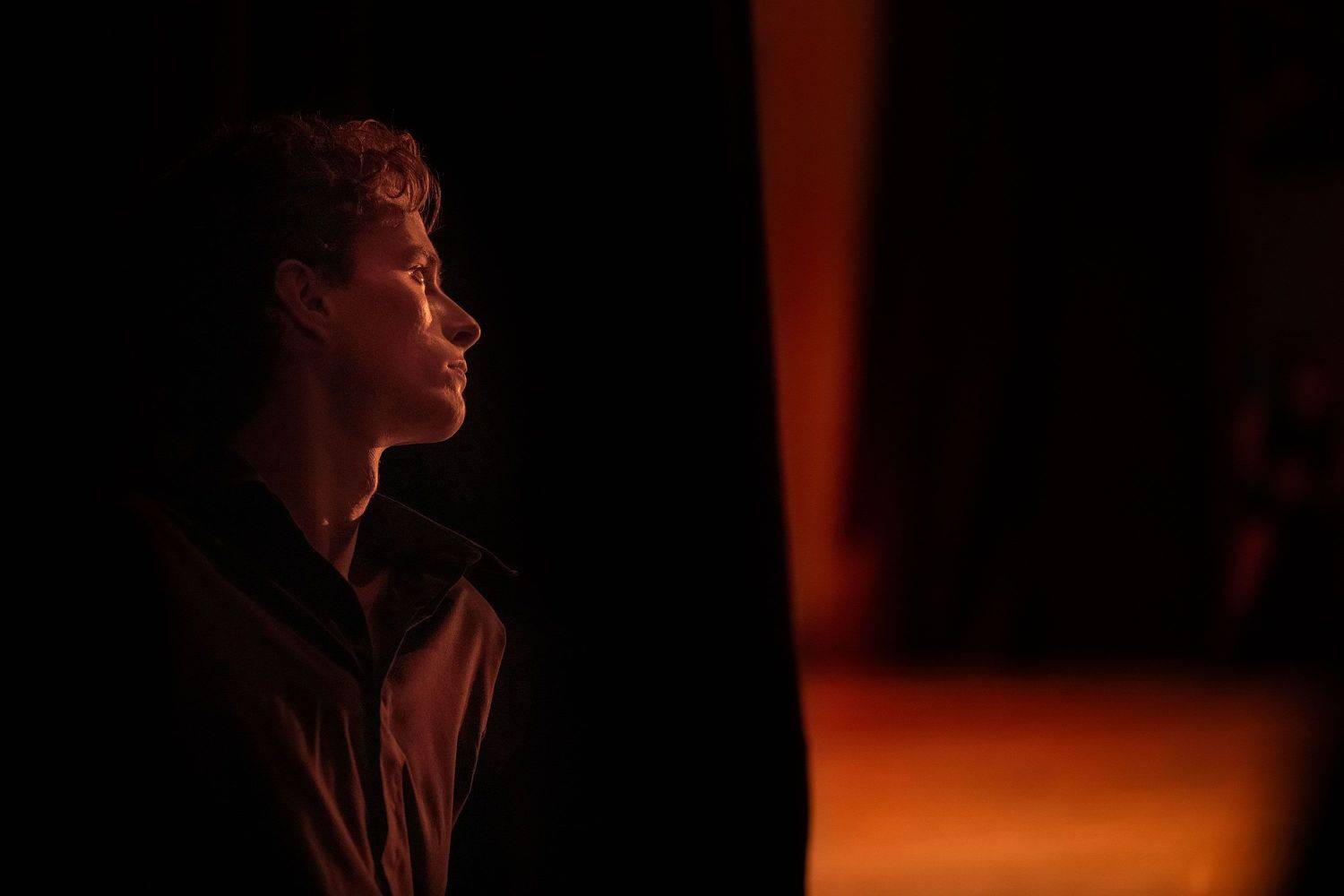 , Vladimir Karamazov