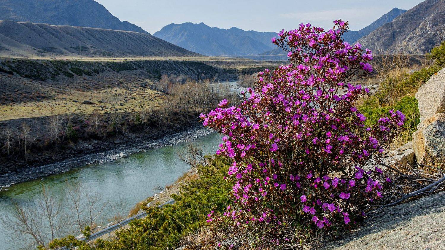Пейзаж,горы, река,маральник , Александр Потапов