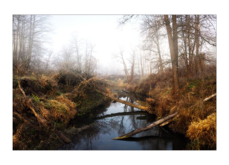 Поздней осенью фото превью