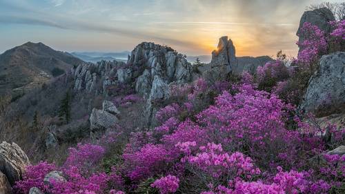 Rabbit Rock in Jujaksan