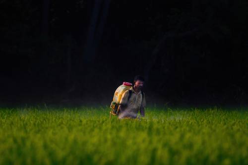 Man working