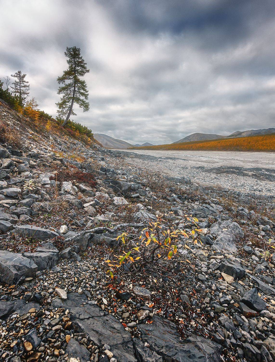 , Николай Андреев