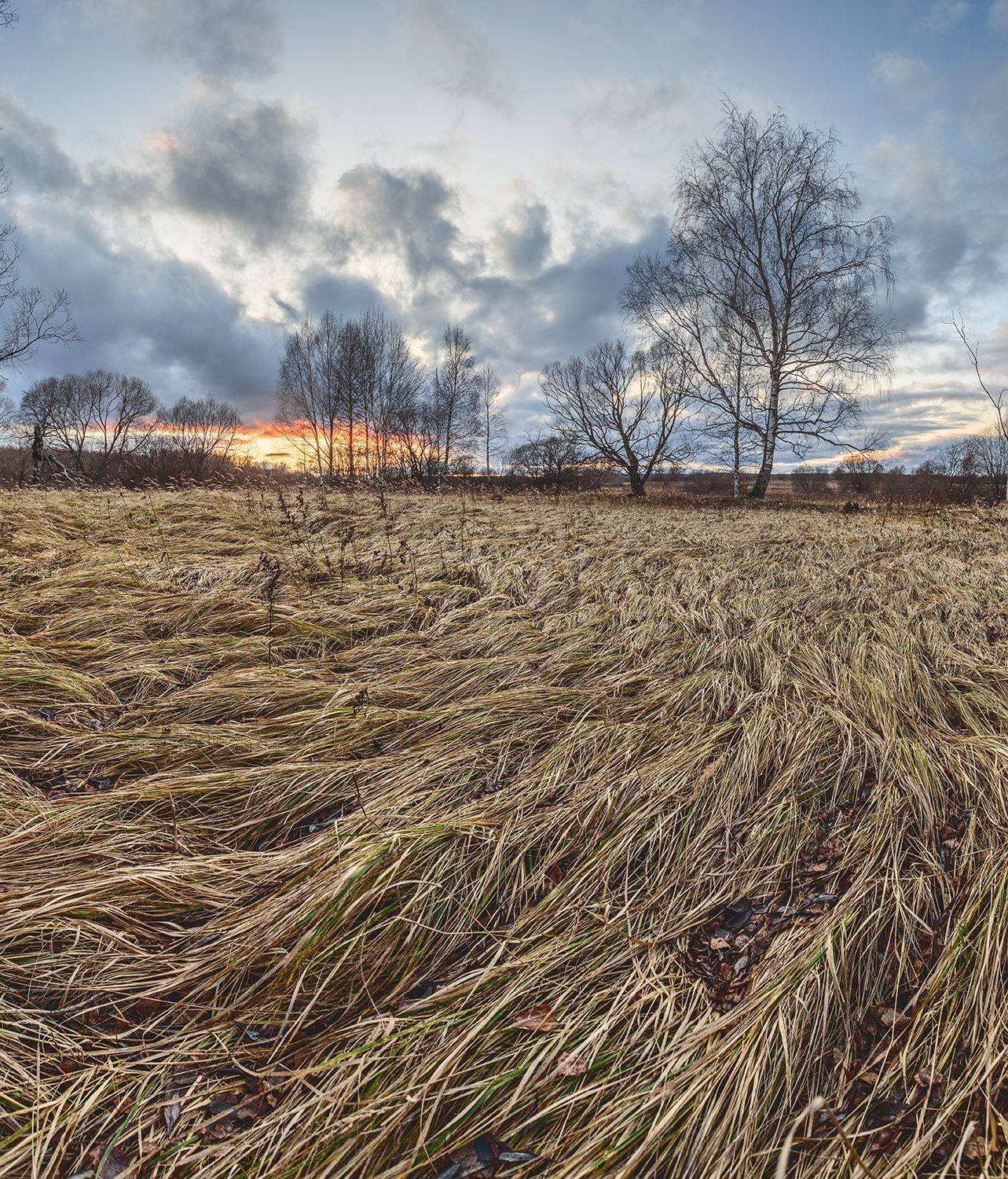 , Николай Андреев