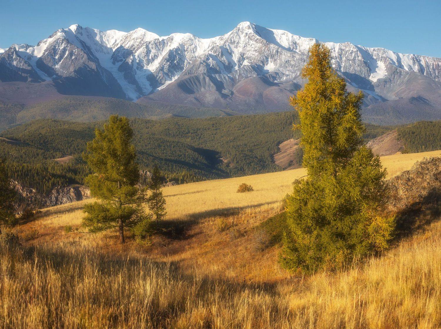 алтай, горы, осень, Марголин Алексей
