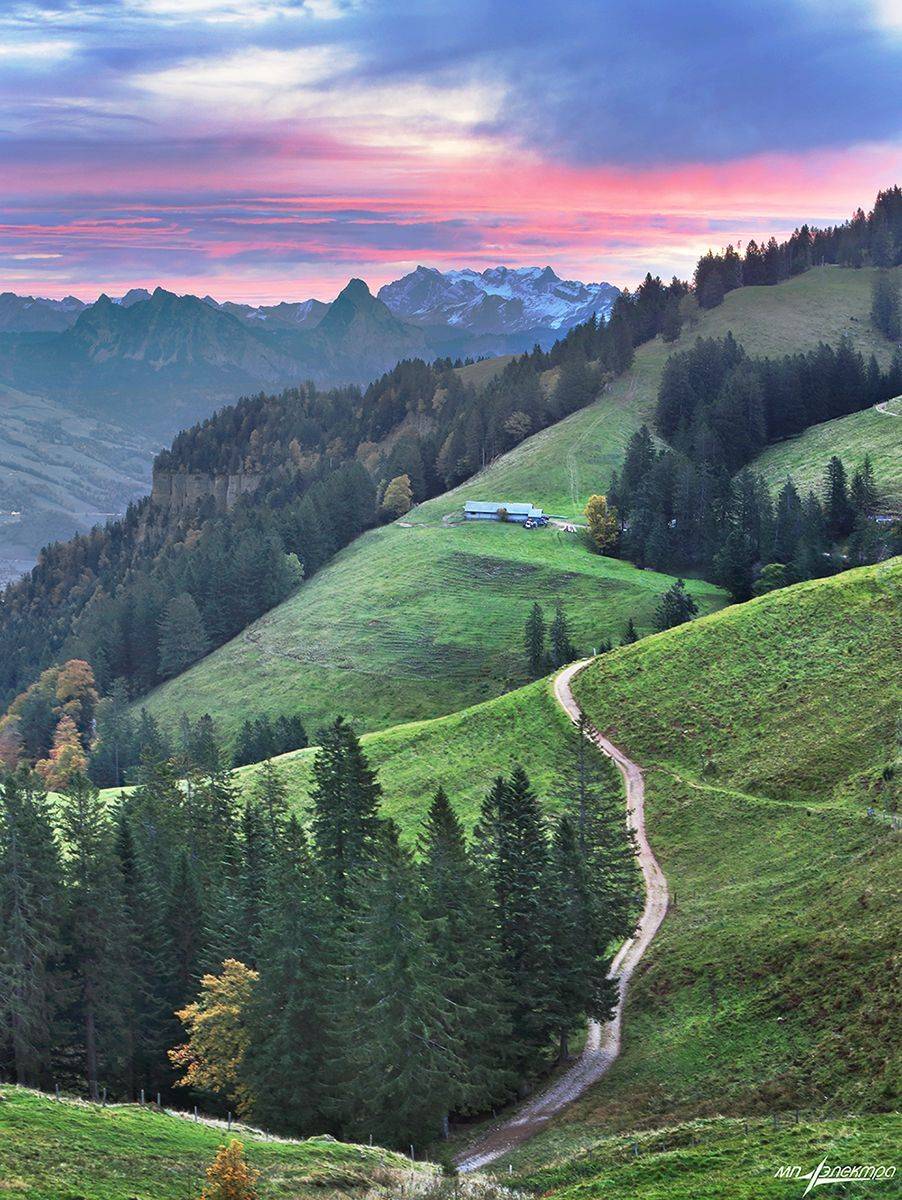 swiss, Матвеев Николай