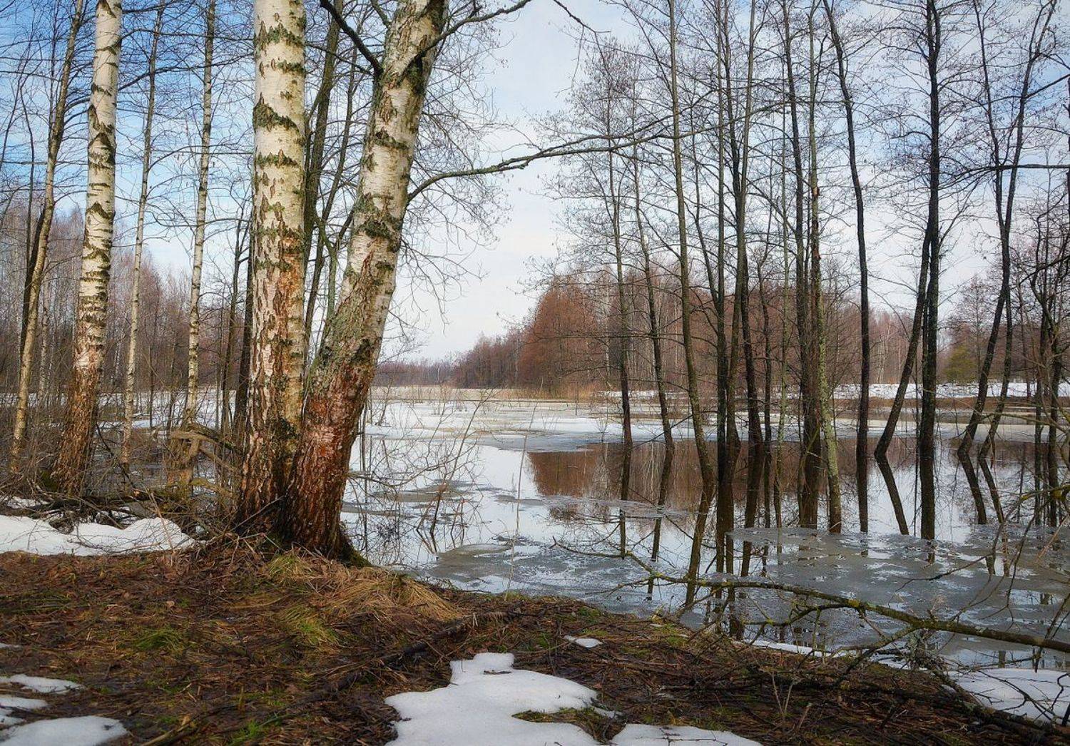 сергей алексеев, пейзаж, Сергей Алексеев