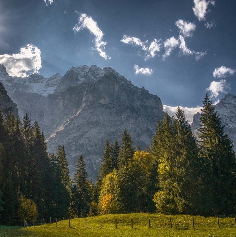 alps,swiss,mountains,travel,grindelwald,eiger alps фото превью