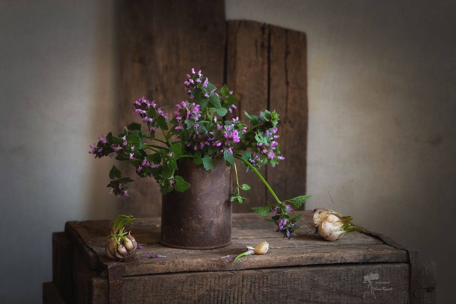 , Инна Сухова