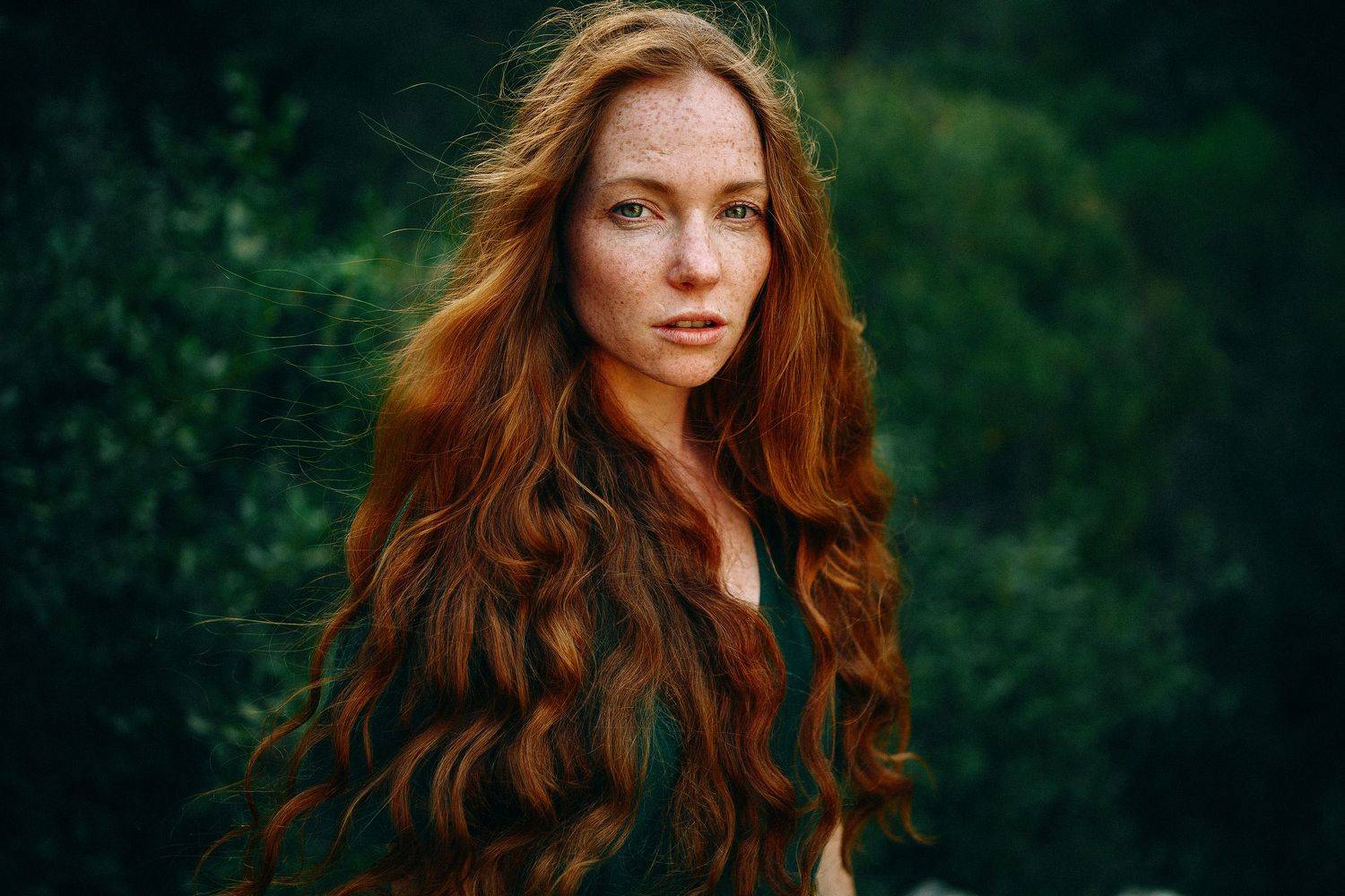 , Максим Густарев