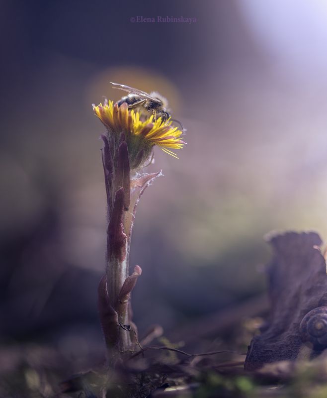 Апрель фото превью