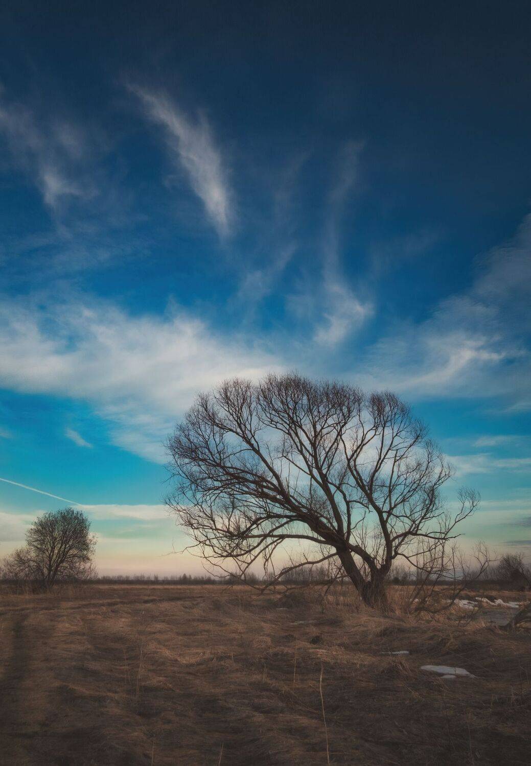 , Котов Андрей