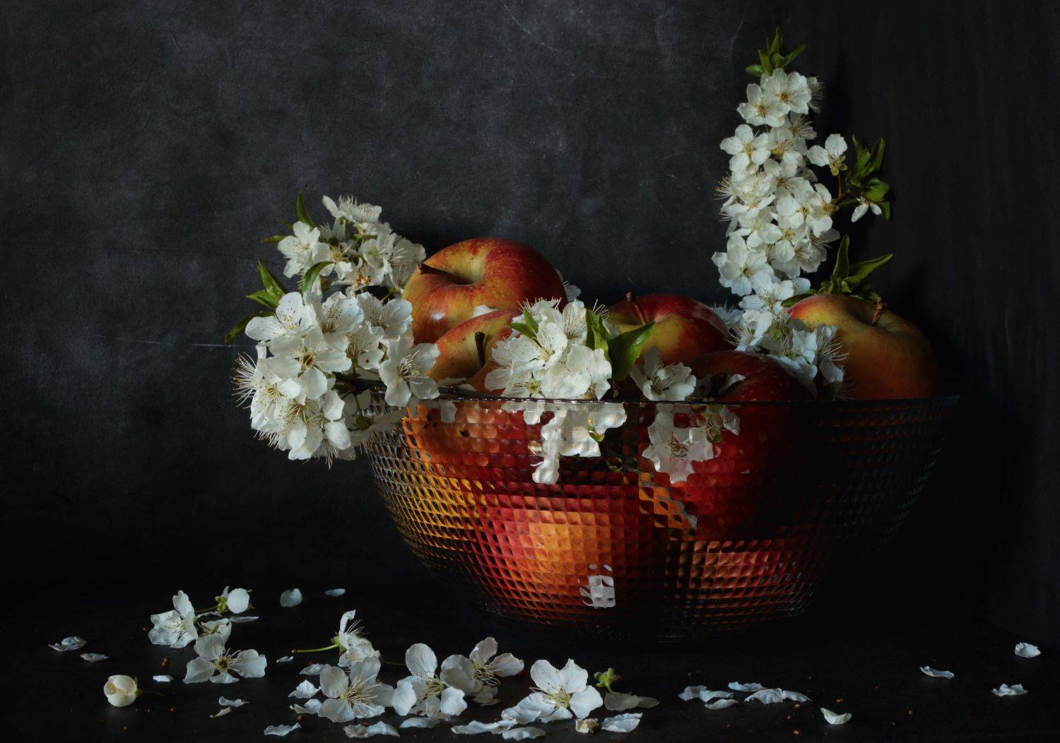 , Димитър Стоянов