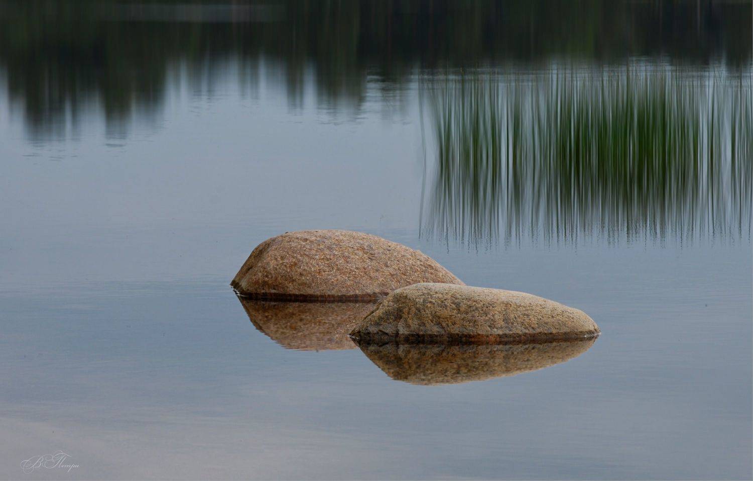 камни отражения трава, Вера Петри