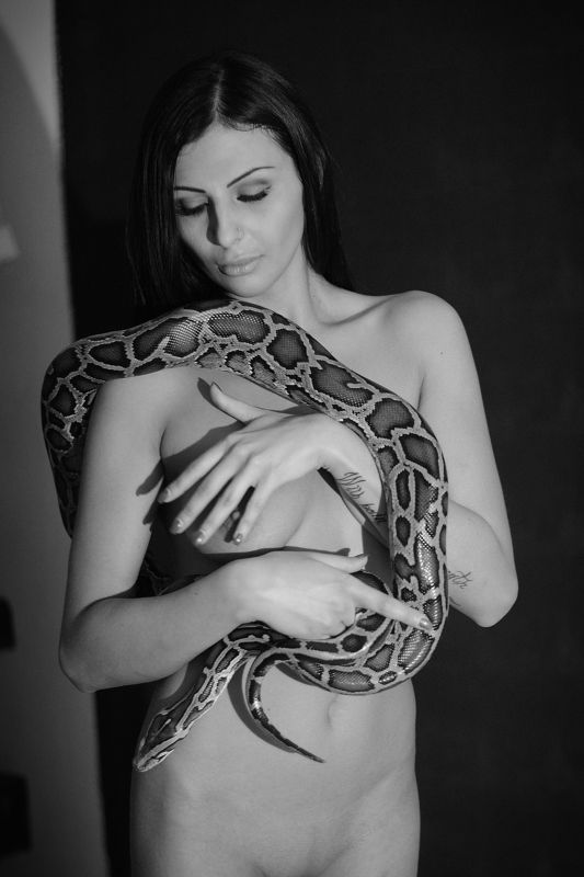 Змей-искуситель фото превью