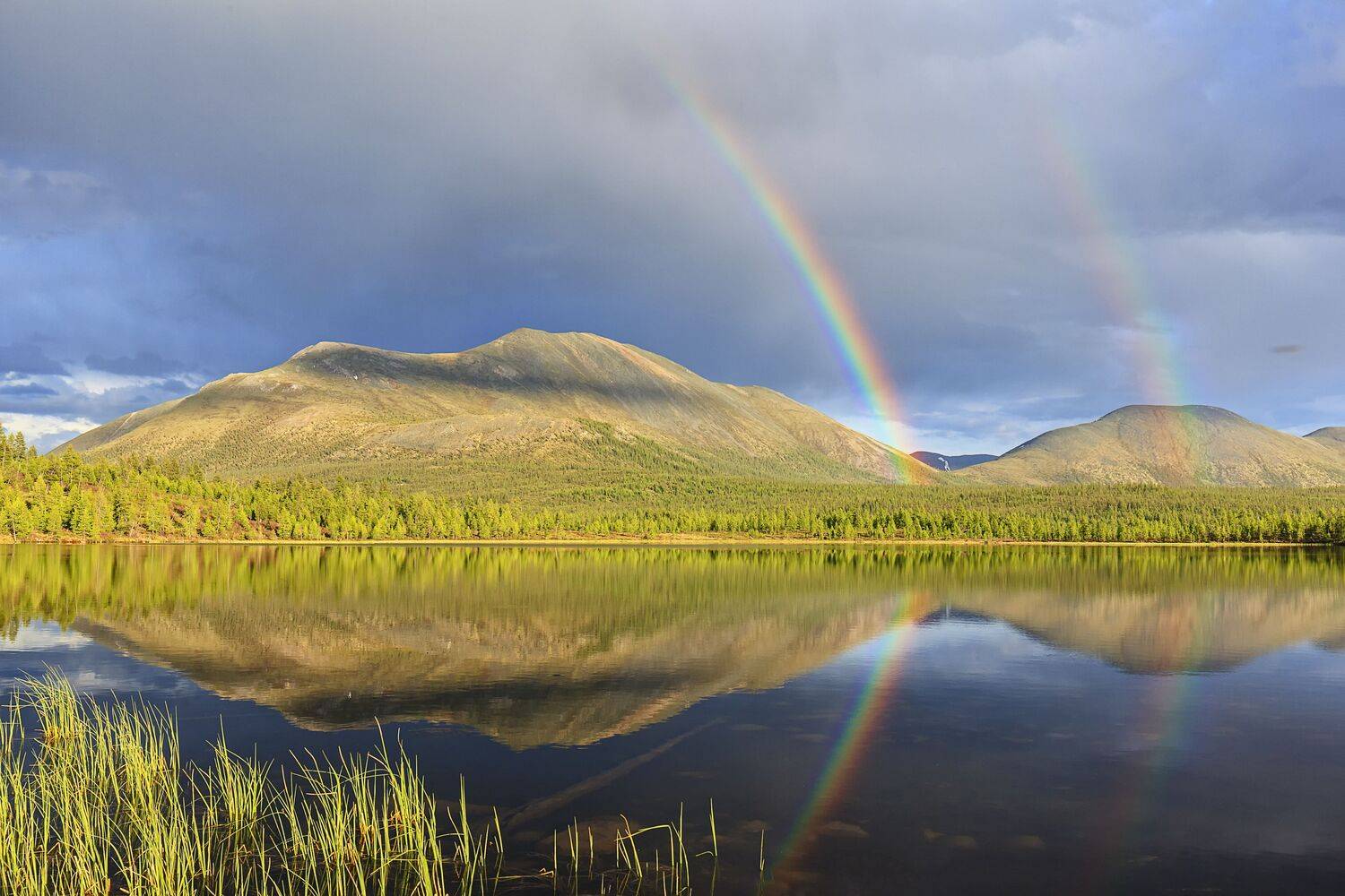 , Михаил Байбородин