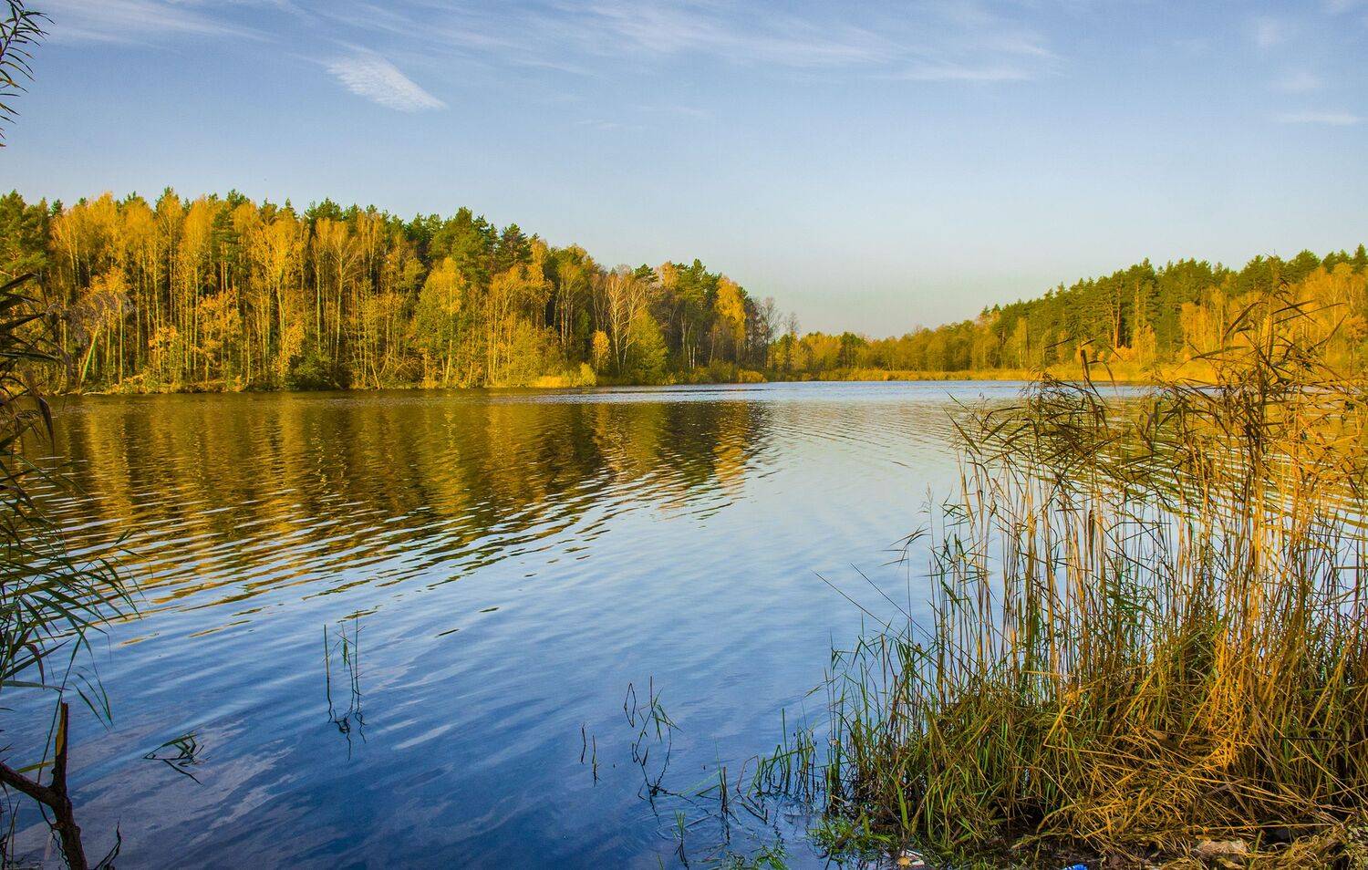 , Александр Березуцкий