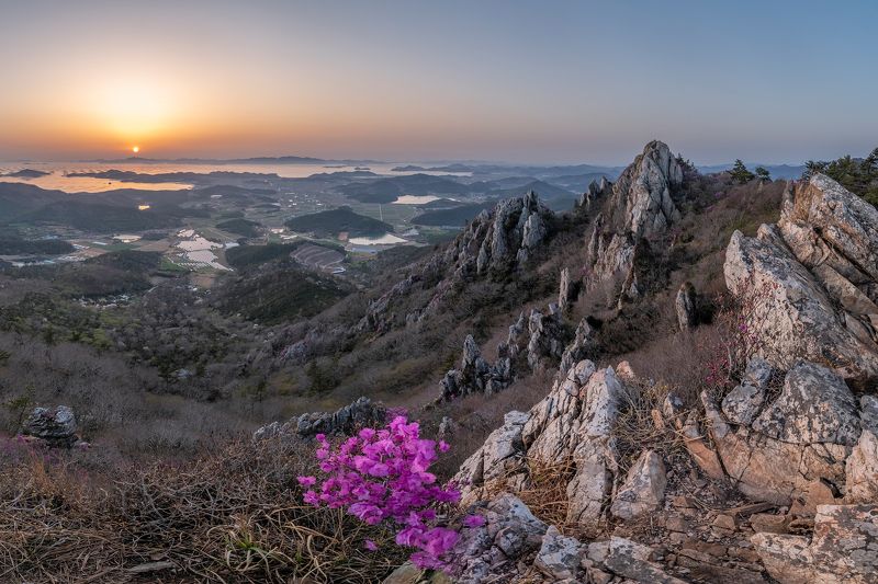 Dinosaur line in the south mountain