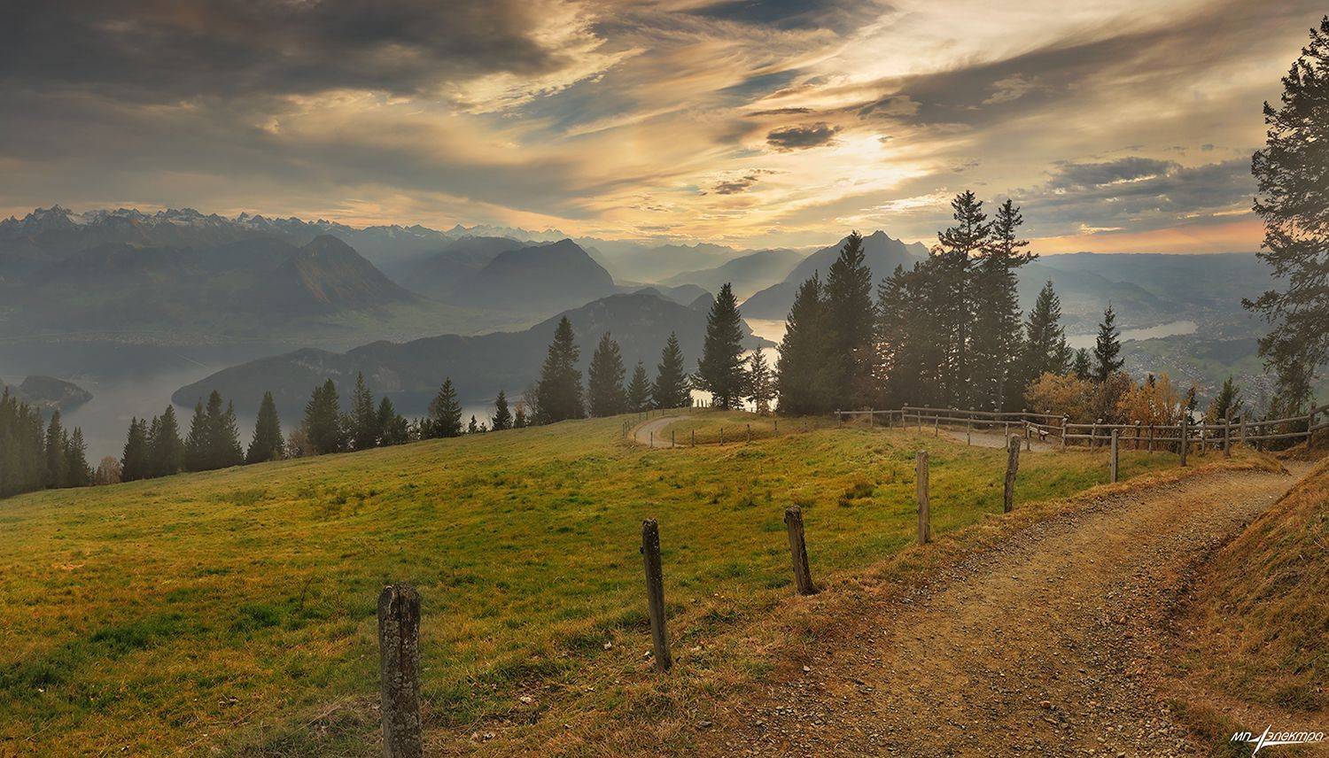 swiss, Матвеев Николай