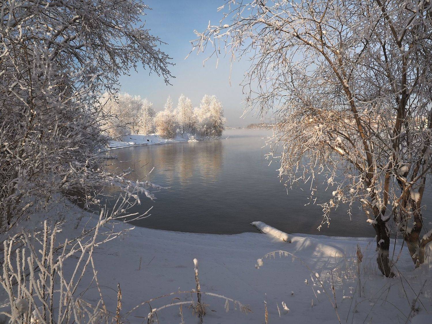 , Александр Попов