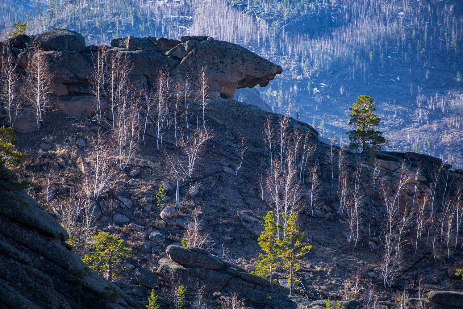 горы, Евгений Дроботенко