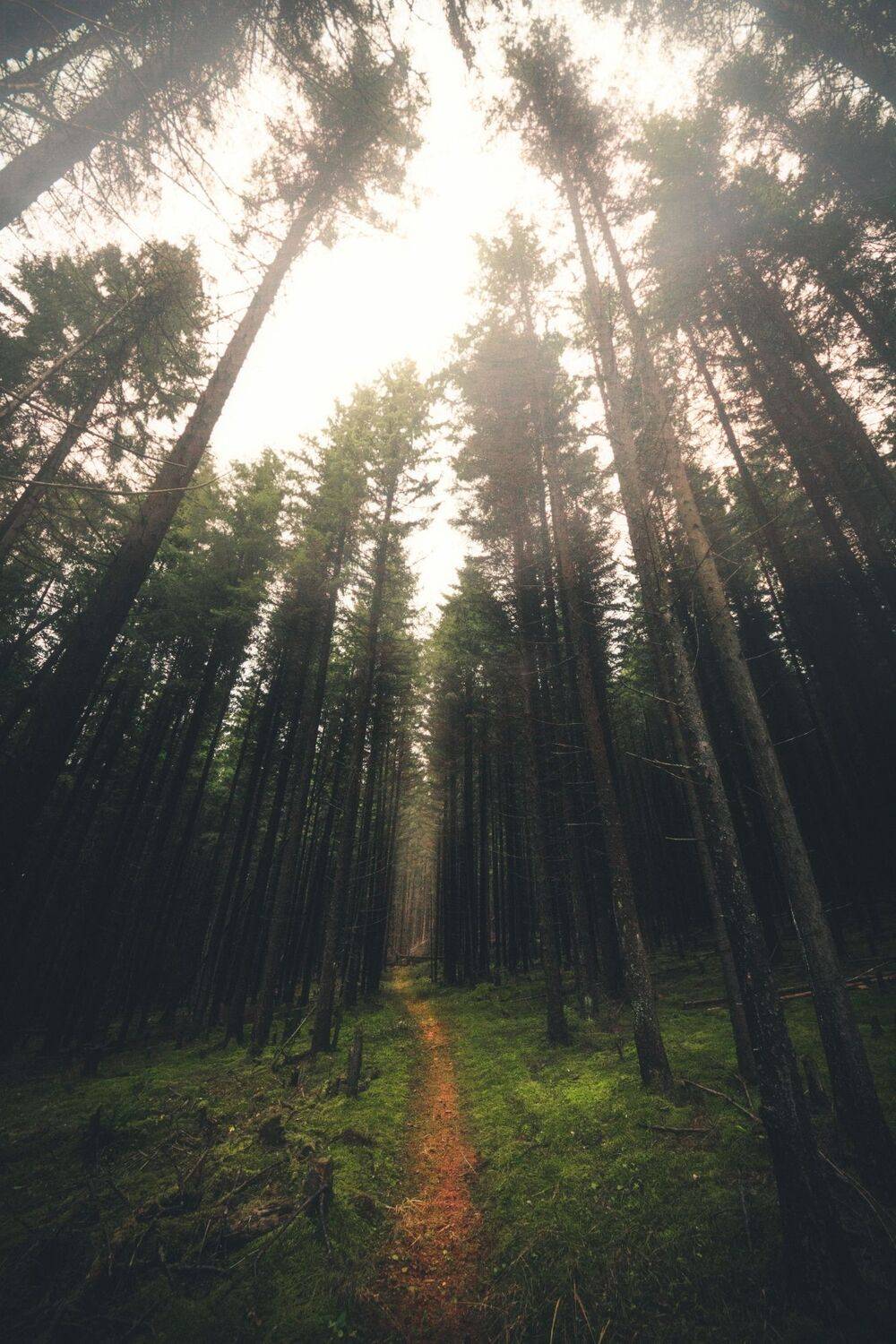 , Котов Андрей